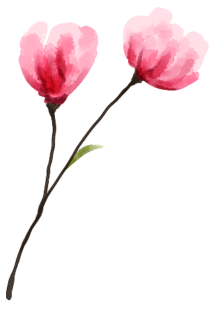 Spring Campaign decor1