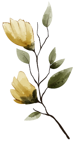 Spring Campaign decor2